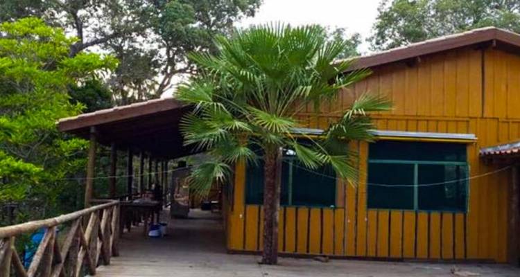 Aventure dans le Pantanal 4D/3N - Bamba Travel 6