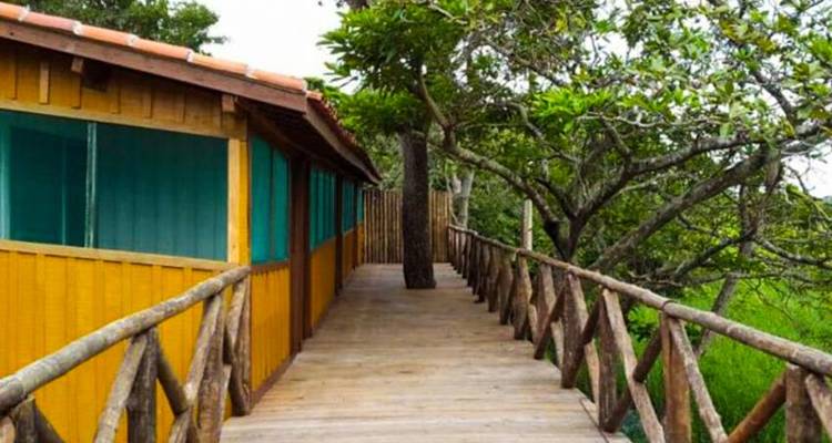 Aventure dans le Pantanal 4D/3N - Bamba Travel 10