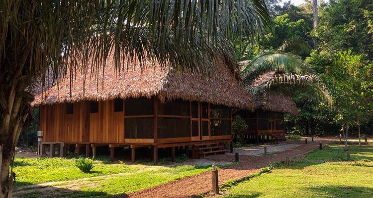Puerto Maldonado Amazon Field Station 5D/4N (from Puerto Maldonado) - Bamba Travel 3