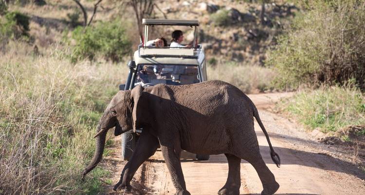 Jeep de safari avec des touristes observant un éléphant qui traverse.