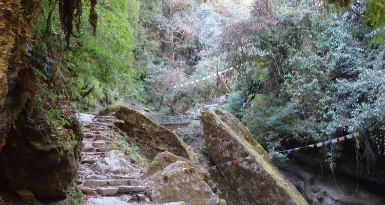 Ghorepani Poon Hill Trek - Asian Heritage Treks & Expeditions 8