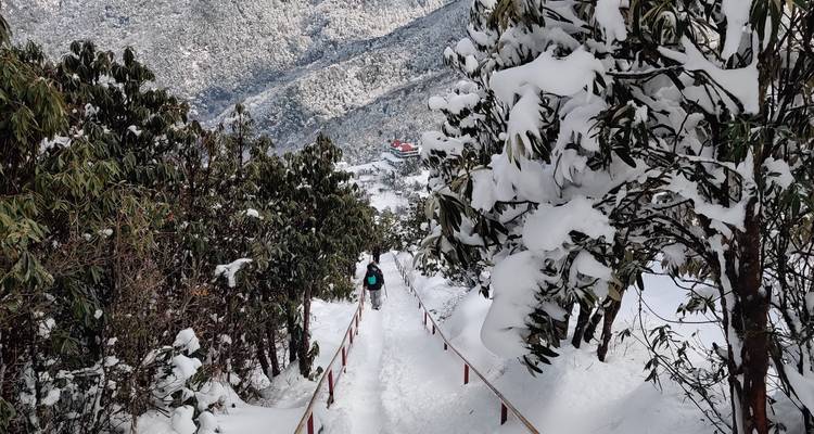 Ghorepani Poon Hill Trek - Asian Heritage Treks & Expeditions 2