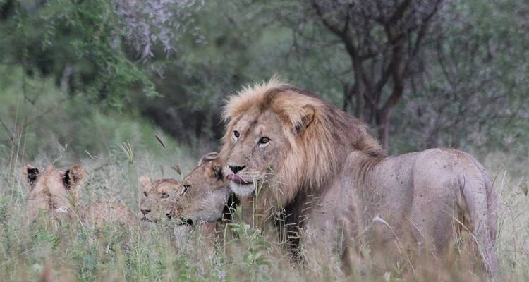 4 jours de safari en groupe en Tanzanie avec Serengeti - Serengeti African Tours 8