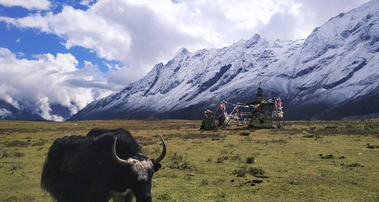 Trek au Manaslu et dans la vallée de la Tsum - Alpine Luxury Treks Pvt Ltd 2