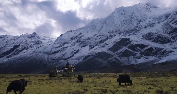 Trek au Manaslu et dans la vallée de la Tsum - Alpine Luxury Treks Pvt Ltd 4