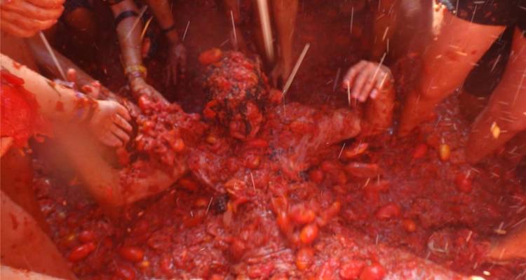 Expérience à La Tomatina - 4J/3N - Bamba Travel 7