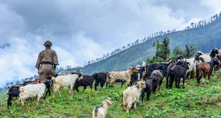 Tamang Heritage Trail Trek 10 Days - Oriental Journeys Pvt. Ltd. 3