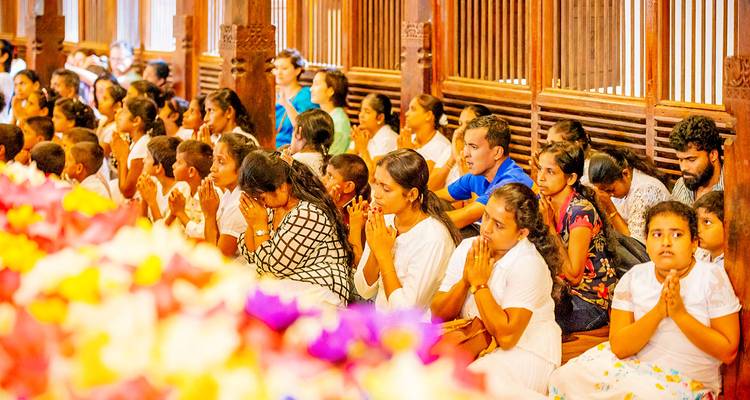 El Mejor Viaje a Sri Lanka Hecho a Medida, Salida Diaria y Guía Privado - Agate Travel 10