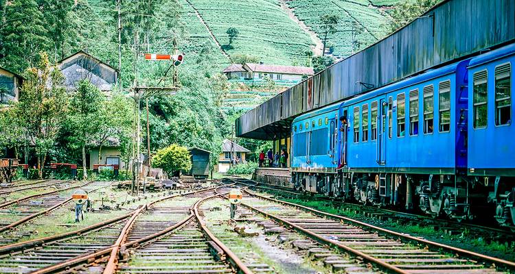 El Mejor Viaje a Sri Lanka Hecho a Medida, Salida Diaria y Guía Privado - Agate Travel 3