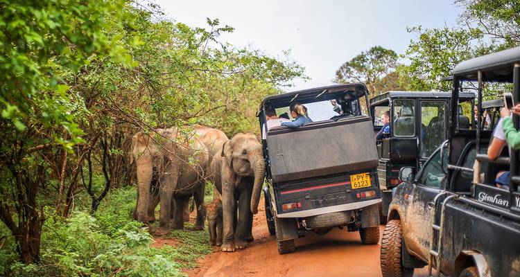 El Mejor Viaje a Sri Lanka Hecho a Medida, Salida Diaria y Guía Privado - Agate Travel 4