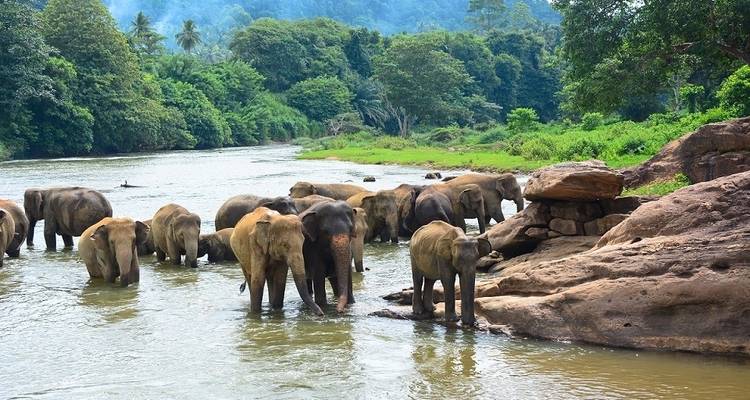 A Heaven Called "Kerala" - Bout India 6