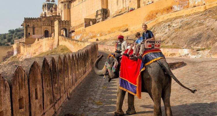 Viaje de 8 días al triángulo de oro con Ranthambore y Udaipur - Agra Taj Visit 4