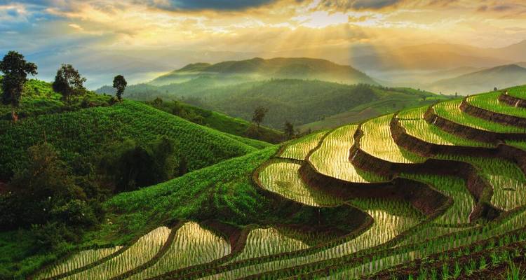 Aventure en Thaïlande et au Laos (14 destinations) - Intrepid Travel 2