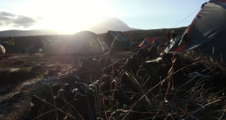 Ruta del Monte Kilimanjaro-Rongai 6 días de senderismo - Kilipeak Adventures ltd 1