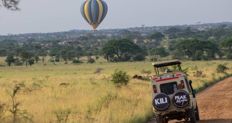 Ein Safariauto fährt auf einer Sandpiste, während ein Heißluftballon über der grasbewachsenen Savanne schwebt.