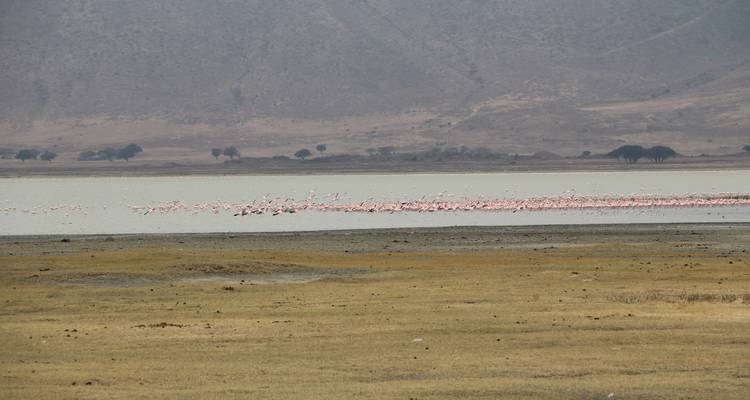 Safari de 6 días en campamentos de tiendas económicos en Tanzania - Kilipeak Adventures ltd 10