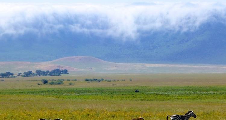 7 Days The Great Serengeti wildbeest Migration Safari. - Kilipeak Adventures ltd 6