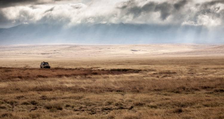 7 Days The Great Serengeti wildbeest Migration Safari. - Kilipeak Adventures ltd 9