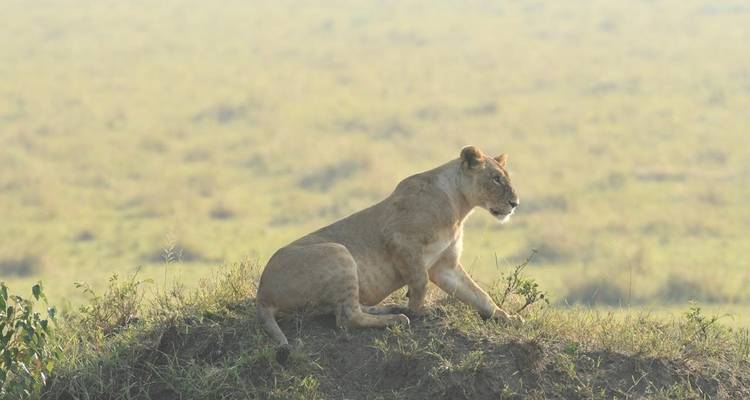 Safari clásico por el corazón de Kenia y Tanzania - Classic Journeys Africa Ltd 6