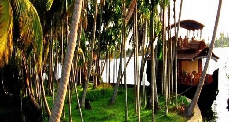 Circuit de 7 jours à Mumbai et au Kerala - TTI TOURS 3