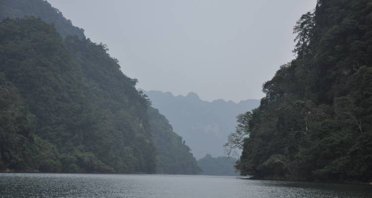 Vista brumosa hacia un lago tranquilo bordeado por acantilados boscosos bajo cielos neblinosos