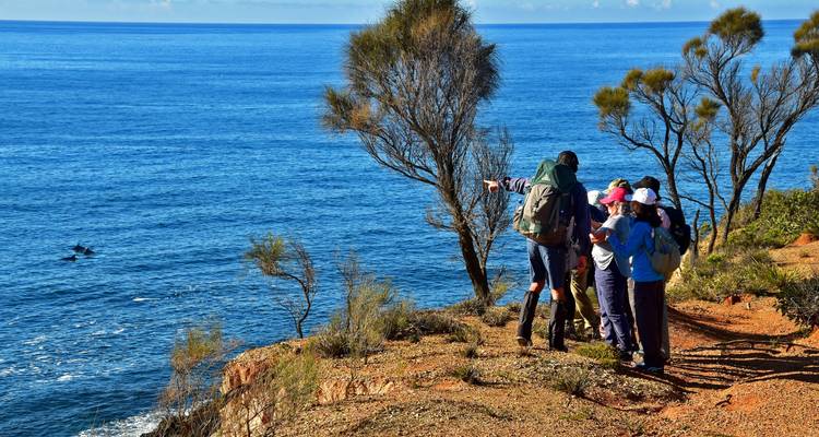 Viaje a la Costa de Murramarang - 3 días - Region X 1