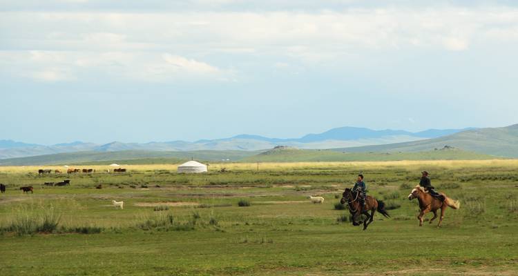Essence de la Mongolie - 7 jours - Tour Mongolia 7