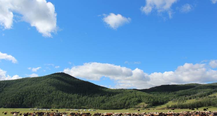 Essence de la Mongolie - 7 jours - Tour Mongolia 8