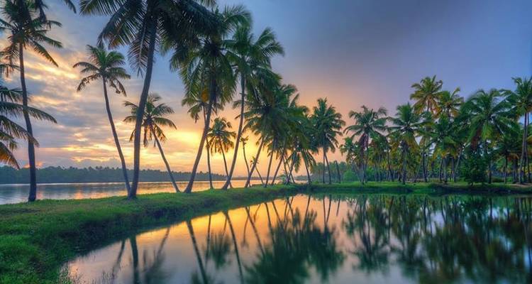 Palmbomen weerspiegeld in een rivier tijdens zonsondergang.