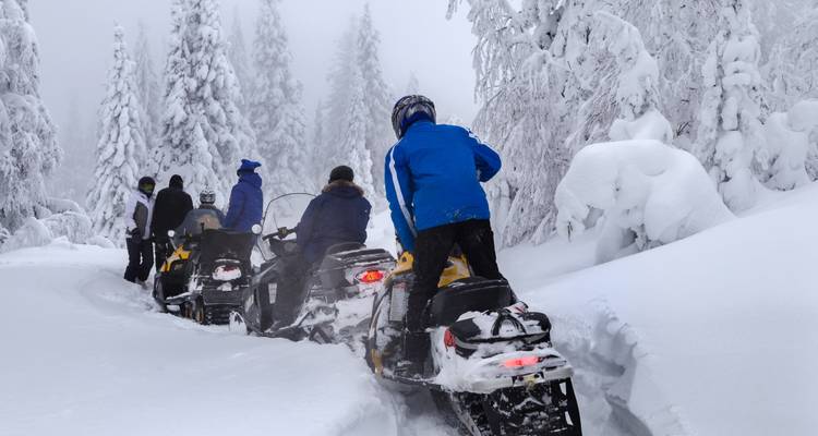 Aventura invernal en Laponia - Carisa Travel Group 6