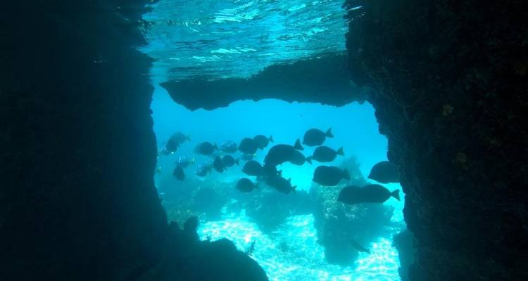 8 jours Multisport Îles Galápagos avec hébergement terrestre - Latin Adventures 2