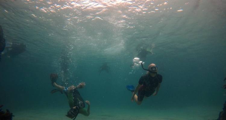 8 jours Multisport Îles Galápagos avec hébergement terrestre - Latin Adventures 1