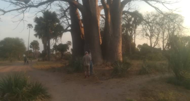 Demi-journée de visite de la ville de Lusaka, du musée de Lusaka et du village culturel de Kabwata - Lochinvar Safaris 6