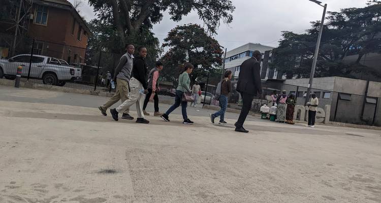 Demi-journée de visite de la ville de Lusaka, du musée de Lusaka et du village culturel de Kabwata - Lochinvar Safaris 9