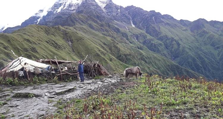 Mardi Himal Short Trek 5 jours 2023/2024/2025 - Eco Holidays Nepal 3