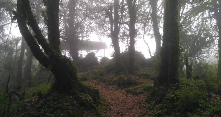 Mardi Himal Short Trek 5 jours 2023/2024/2025 - Eco Holidays Nepal 6