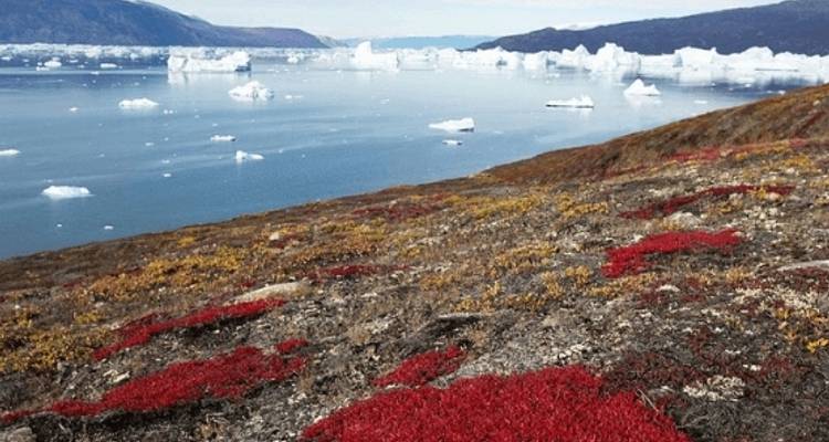 Arctic Odyssey - Poseidon Expeditions 4