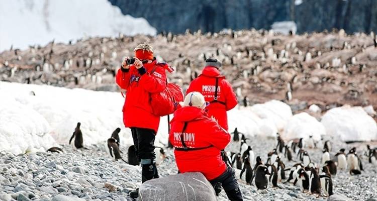 Nouvelle année en Antarctique - Poseidon Expeditions 8