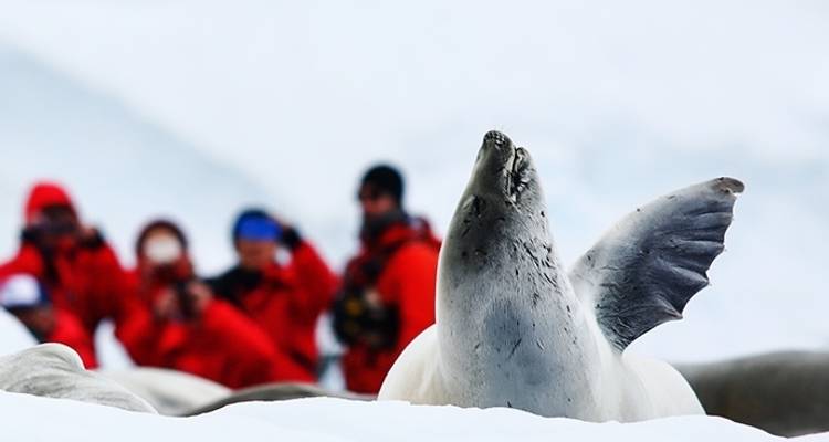 Noël en Antarctique - Poseidon Expeditions 6