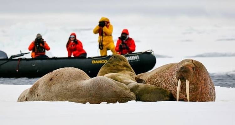 Le meilleur du Svalbard - Poseidon Expeditions 8