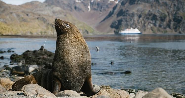 Aventure en Antarctique - 21 jours - Poseidon Expeditions 4