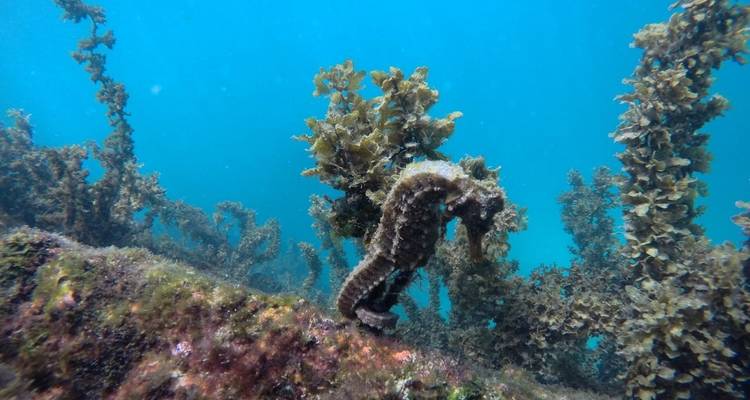 Excursion à San Cristobal et Santa Cruz dans les îles Galápagos - 7 jours - Latin Adventures 10