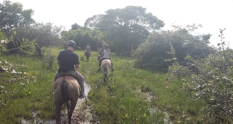 Pantanal : A la découverte de la plus grande zone humide du monde - Class Adventure Travel  2