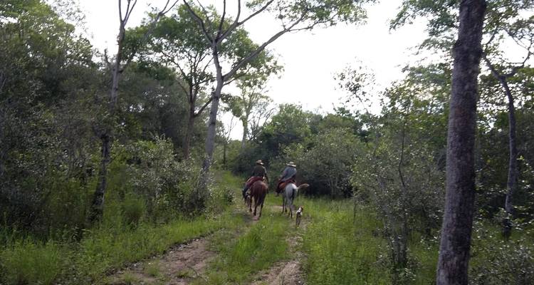 Pantanal : A la découverte de la plus grande zone humide du monde - Class Adventure Travel  10