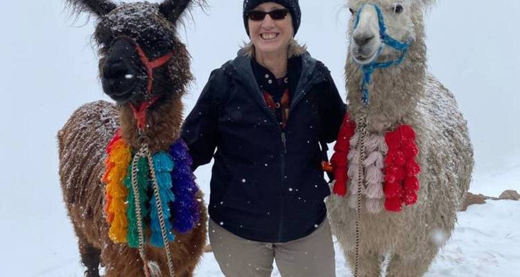 Voyageur debout entre deux lamas couverts de neige sur un col de montagne brumeux