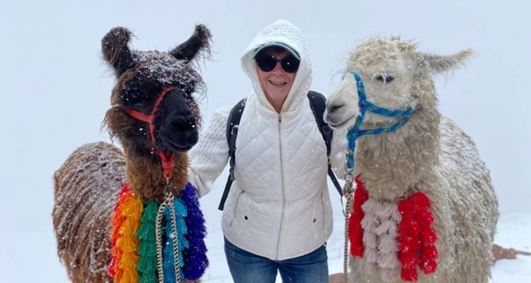 Voyageur souriant flanqué de deux lamas saupoudrés de neige dans un paysage de blizzard