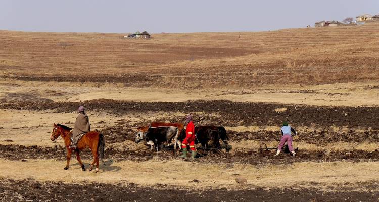 Partez à la découverte des secrets les mieux gardés d'Afrique du Sud et découvrez le Lesotho. - Amatungulu Tour 4