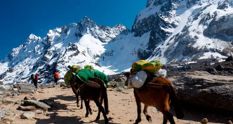 Aventure inoubliable dans les Andes : 5 jours de randonnée dans le Salkantay jusqu'au Machu Picchu - Waman Adventures 4