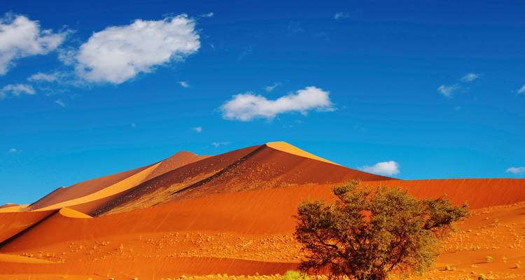 Dunas de arena de colores vibrantes bajo un cielo azul despejado.