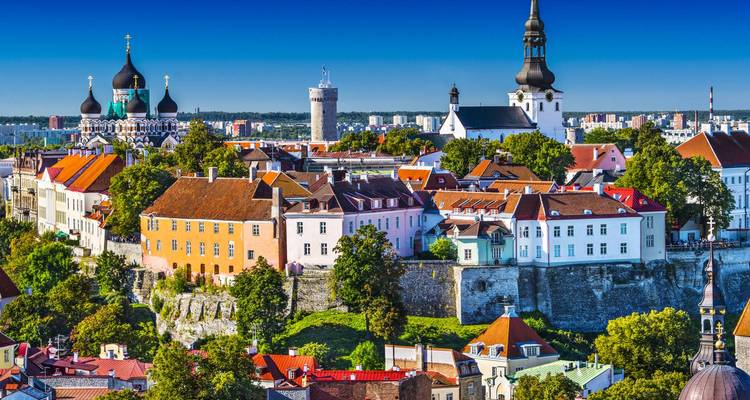 Erhöhte Ansicht von Tallins befestigter Oberstadt mit farbenfrohen Häusern, Kirchen und Wehrmauern vor einem tiefblauen Himmel.